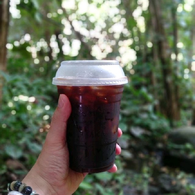 สวนป่าตากา อำเภอวังเจ้า