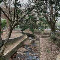 嘉義景點-嘉義公園