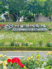 서울에서 정말 핫한 장미축제🌹