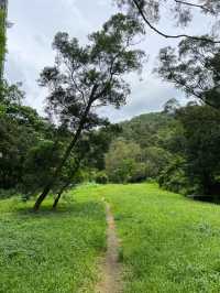 The fastest way to reach one of the top 3 sharpest peaks in Hong Kong