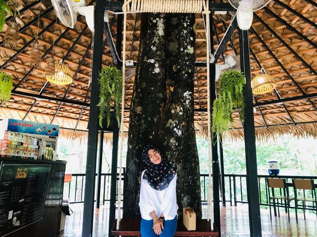 คาเฟ่ต้นไม้ WATER TOOM TOOM