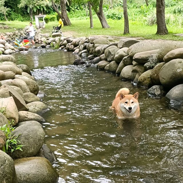 三坑自然生態公園