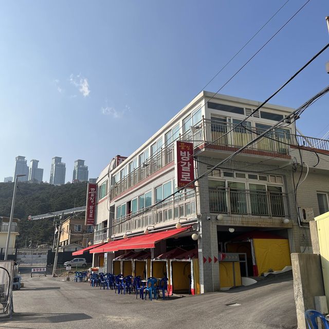 【韓国旅行】釜山／海雲台の海を眺めながら貝焼きを楽しむ🌊✨