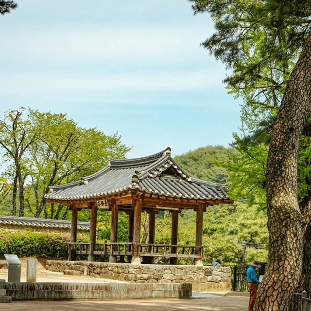 영주 문화유산 소수서원