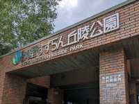 【北海道、最高に楽しい公園】ソフトクリームがめちゃ美味しい