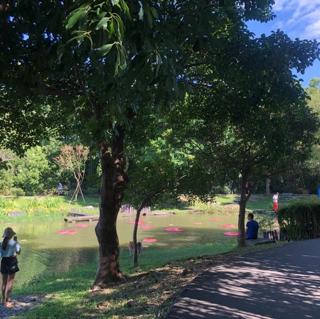 龍潭大池濕地植物區