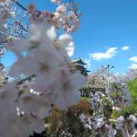 Nagano in Japan🇯🇵