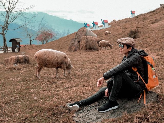 ฟาร์มแกะชิงจิ้ง (CingJing Farm)