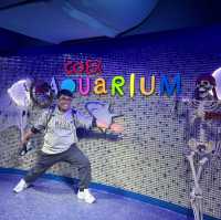 COEX AQUARIUM(코엑스 아쿠아리움) แวะดูปลา