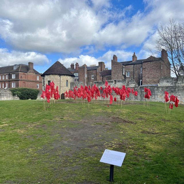 York Museum Gardens