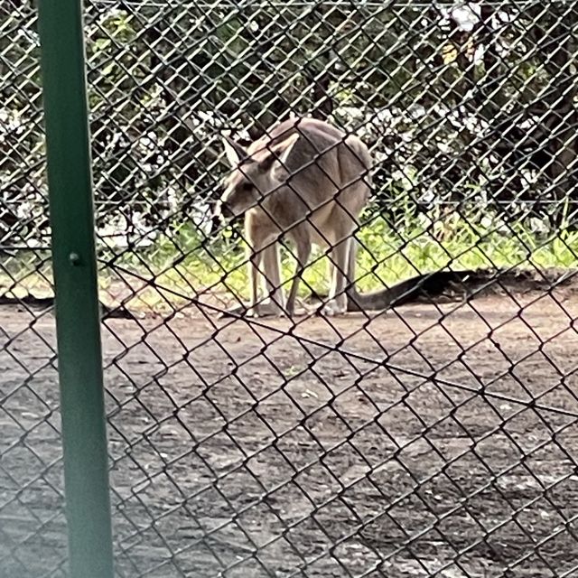 円山動物園