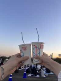 韓国/ソウル【トゥクソム】漢江で見る迫力のドローンショー