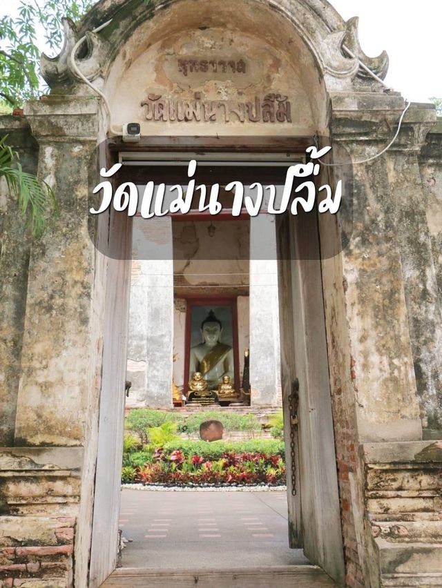 วัดแม่นางปลื้ม สักการะหลวงพ่อขาว 🙏🏻🙏🏻