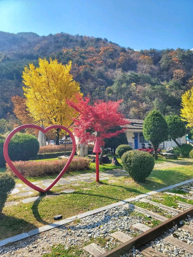 정선 레일바이크역에도 가을이 왔어요🍁🍂💛