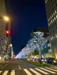 北海道　札幌観光　札幌駅前通りのイルミネーションが綺麗だったよ！
