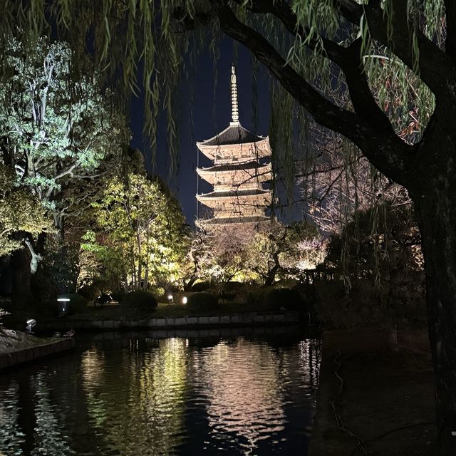 【京都】大人旅　秋の京都ココは外せない！