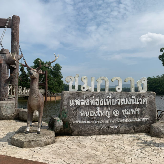สะพานชมกวาง