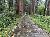 【山形】過去と現在と未来をつなぐ神社