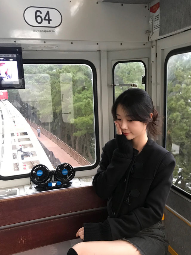 부산 필수코스 블루라인파크🚃🩷