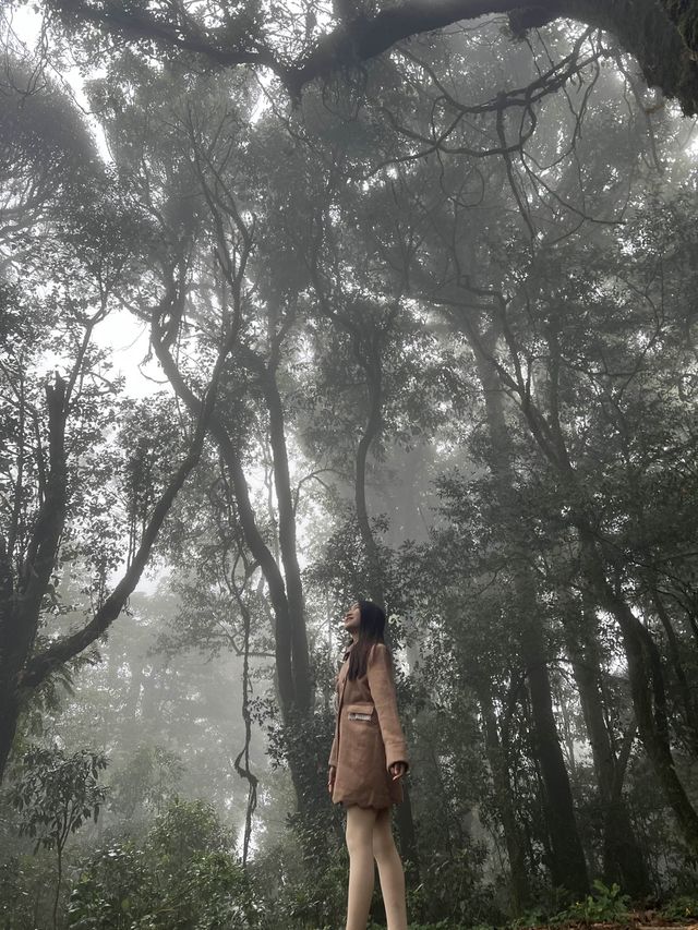 นักผจญภัยตัวน้อย💕🌳