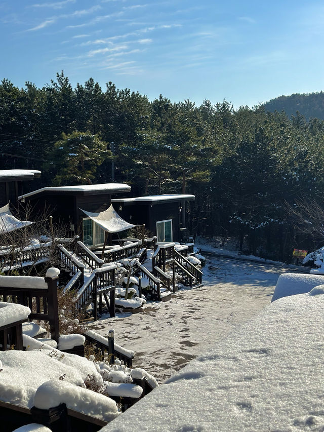 태안 독채 감성 숙소 솔그림펜션 🏡