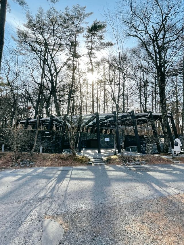 輕井澤🇯🇵「 石之教堂」融入大自然的浪漫絕美教堂
