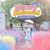 Memory House Cafe ทุ่งหญ้าหลากสี