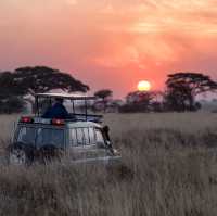A Journey into Africa's Untamed Beauty
