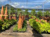 สวนนงนุช พัทยา จ.ชลบุรี 🌴🌴🌴