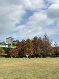 เดินรับไอแดด และชมใบไม้เปลี่ยนสีที่ Dahu Park