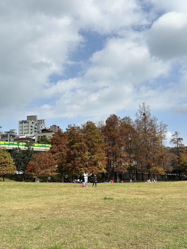 เดินรับไอแดด และชมใบไม้เปลี่ยนสีที่ Dahu Park