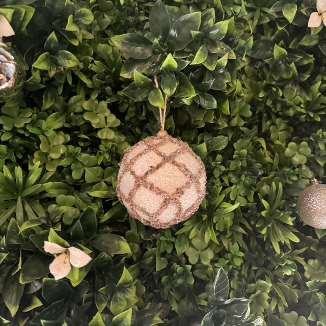 西日fusion 悠閑風 鴨腿香濃被油封
