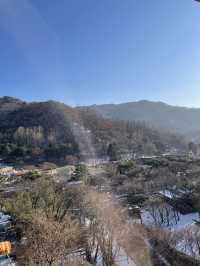 首爾出發首爾大公園一日遊❣️親子活動必到🤓市區親親大自然