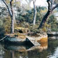 MAGNIFICENT WOODED PARK IN MARSEILLE.