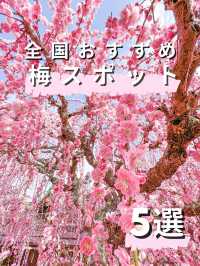 2月のお出かけにおすすめ 全国おすすめ梅スポット5選