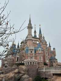 ชมปราสาทเจ้าหญิงดิสนีย์ช่วงเช้า ShanghaiDisneyland