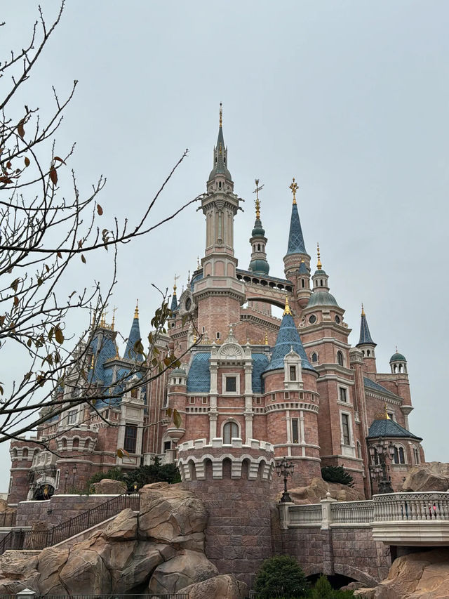 ชมปราสาทเจ้าหญิงดิสนีย์ช่วงเช้า ShanghaiDisneyland