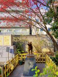 【東京】桜とミモザのコラボ🌸もふもふに癒されたい人集まれー!!