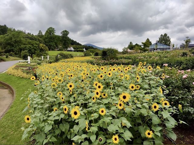 Ibaraki Flower Park