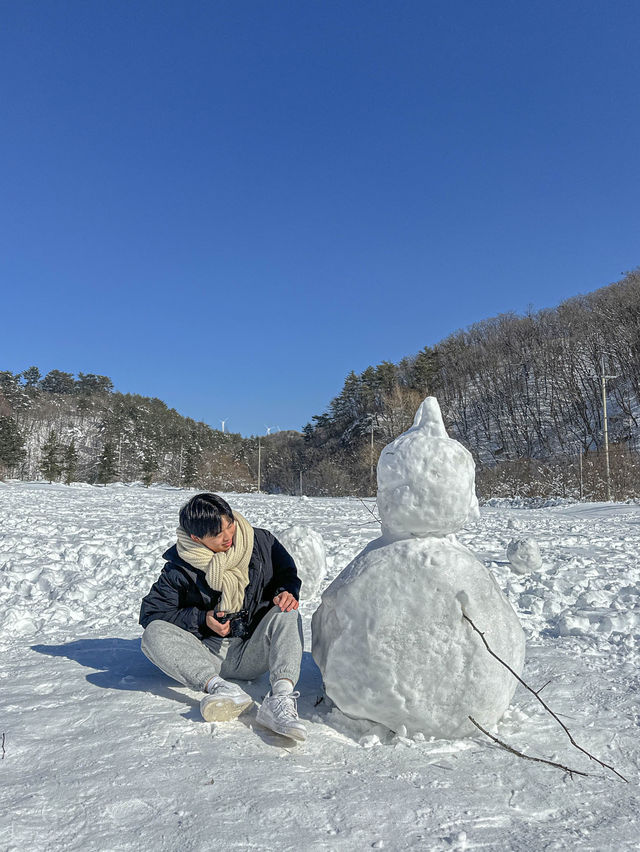 한국의 삿포로라 불리는, 삼양라운드힐