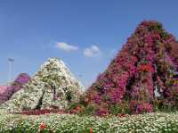 Dubai Miracle Garden: Floral Wonderland