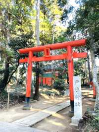 【鹿島神宮北の一之鳥居と戸隠神社/茨城県】神戸森に佇む朱塗りの鳥居