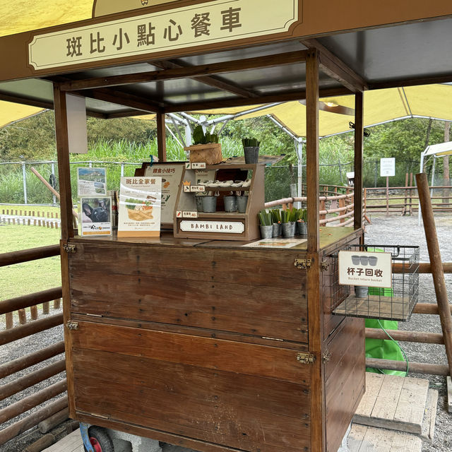 「斑比山丘」觀光農場：$200門票，感受自然和平共處。適合平日遊玩
