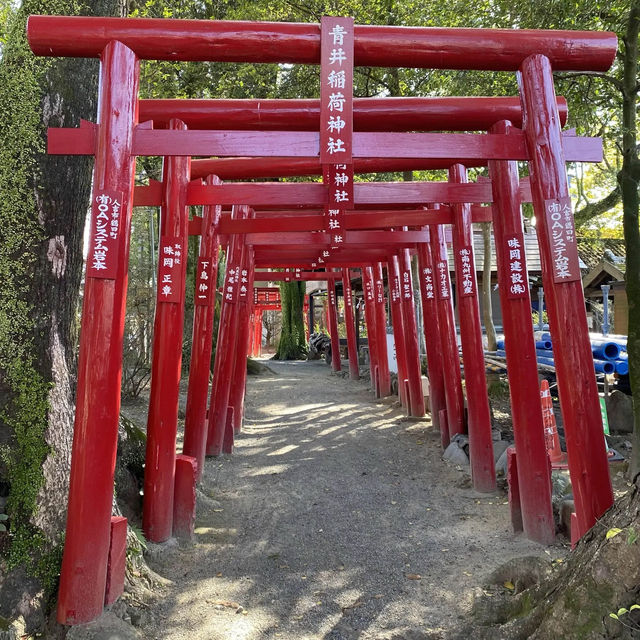 美しい赤色の鳥居に続くお稲荷様