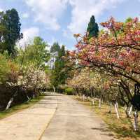 澳門大潭山郊野公園：親山體驗，美好記憶