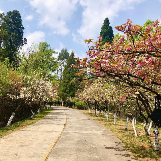 澳門大潭山郊野公園：親山體驗，美好記憶