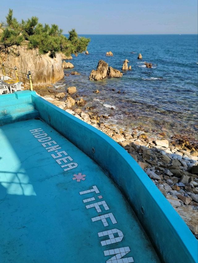 여름이 기다려지는 경주 오션뷰 직관카페🌊