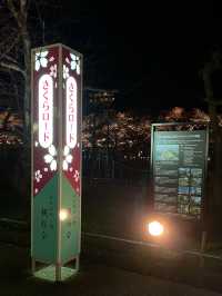 【新潟】一度は行きたい日本三大夜桜の観桜会