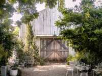 cafe
