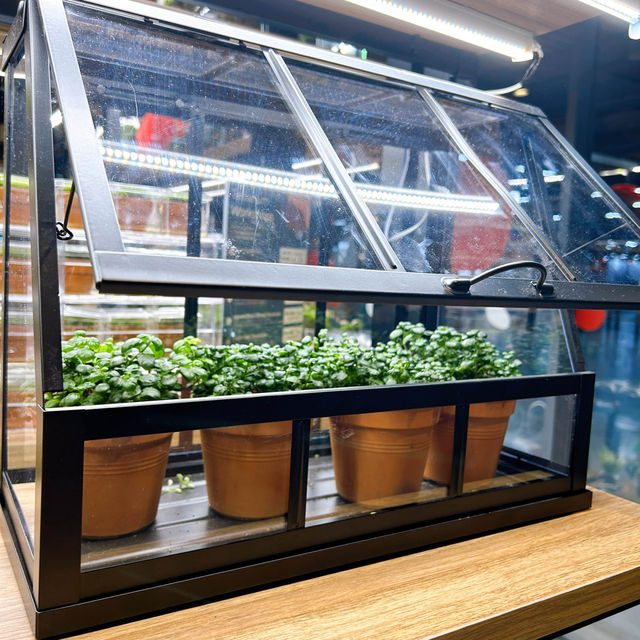 Naug Just Plants Bringing Greenery Indoors
